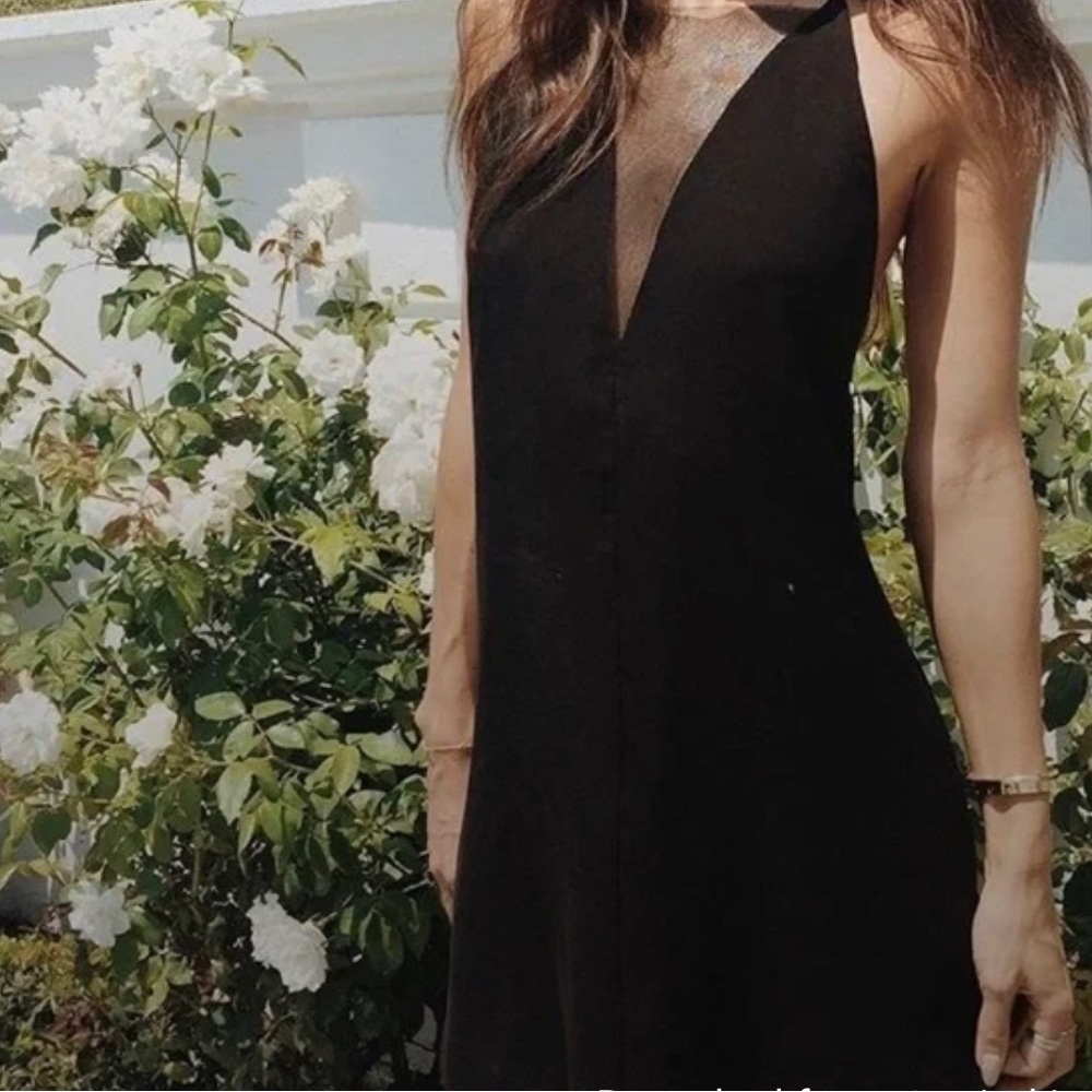Are You Am I Lux mesh dress size small